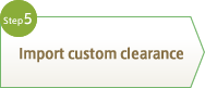 Step5 Import custom clearance