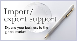 Import/export support