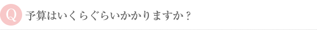 予算はいくらぐらいかかりますか？